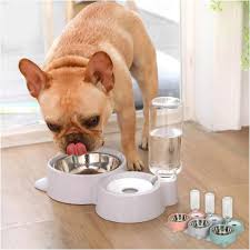 bowl bebedero mascotas gato y perro - Imagen 2